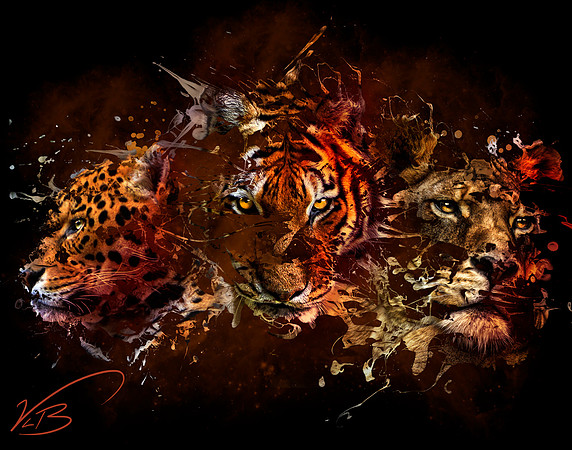 Big Cats