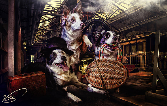 Doggies Day Out