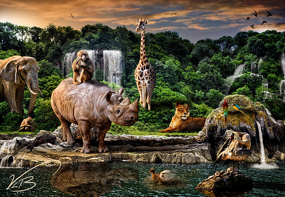 The Animals