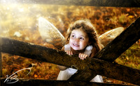 The Farm Fairy