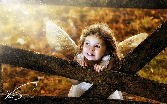 The Farm Fairy