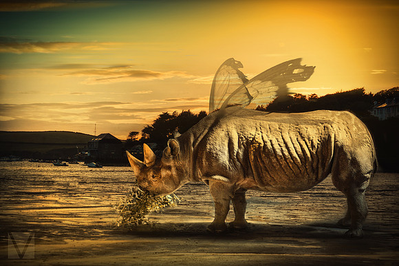 Flying Hippo on Holiday