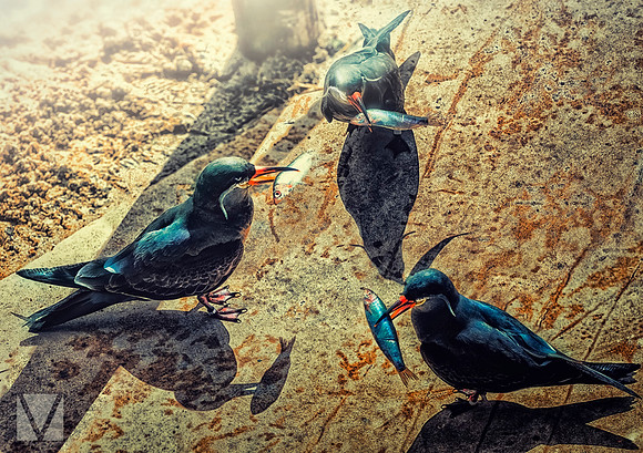 Fish Feast